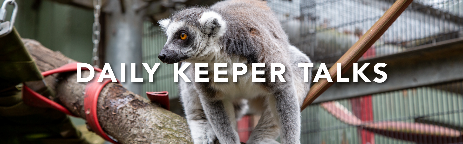 banner for the zoo keeper talks